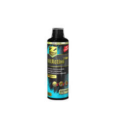 VITACTIVE SYRUP / Zielona herbata