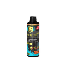VITACTIVE SYRUP / Papaya
