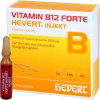 Vitamin B12 Forte Injekt
