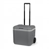 Lodówka Steamy Cool z uchwytem 52 l / szara