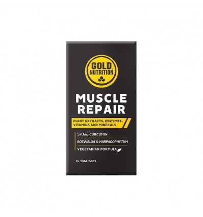 Muscle Repair