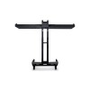Dual Stand